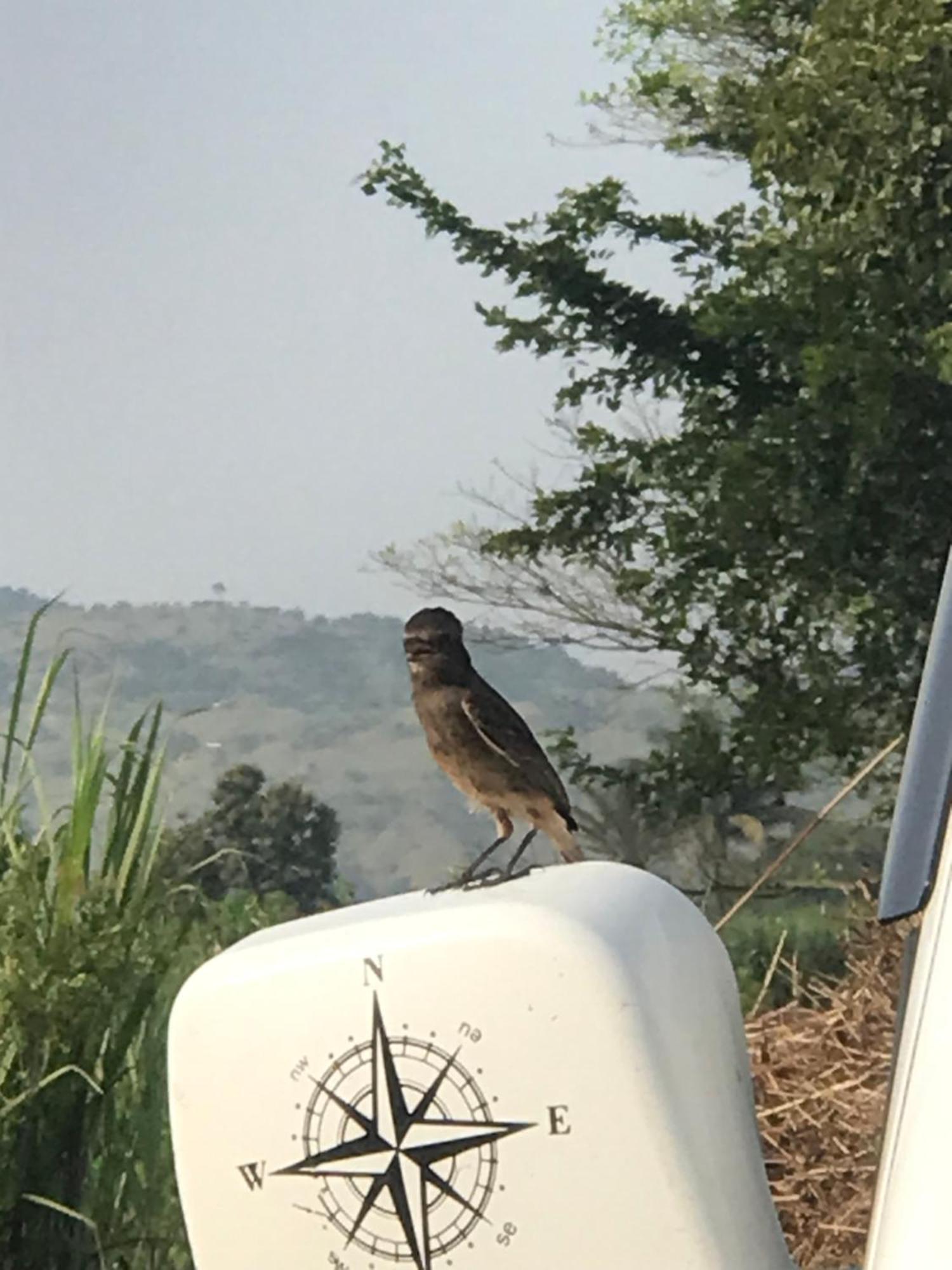 Ingawale Farmhouse 사타라 외부 사진